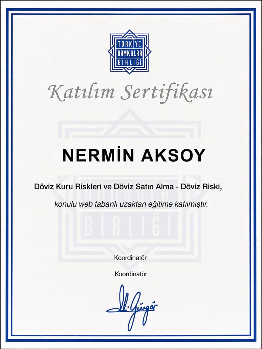 Döviz Kuru Riskleri Sertifikası — Nermin Aksoy