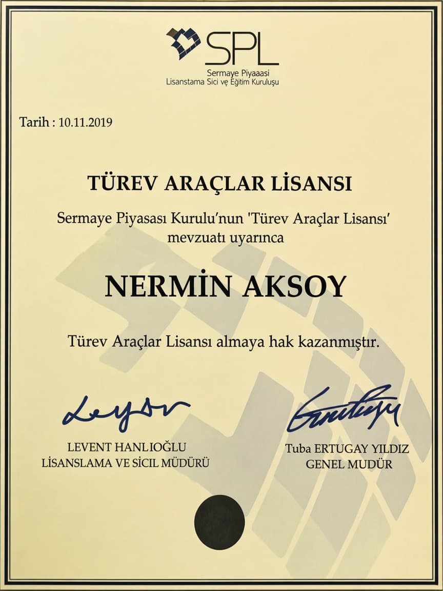Türev Araçlar Lisansı — Nermin Aksoy